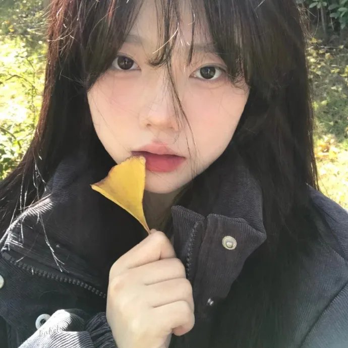 真情有限耆海报