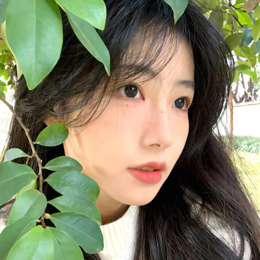 黑百合公寓海报